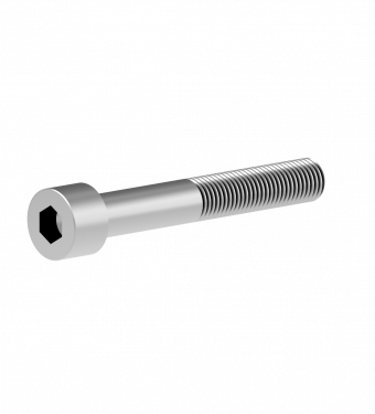 Bolt M8x55