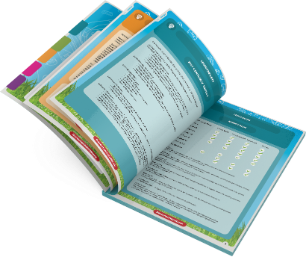 Lehrer-Handbuch (online)